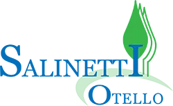 Logo Onoranze funebri Salinetti